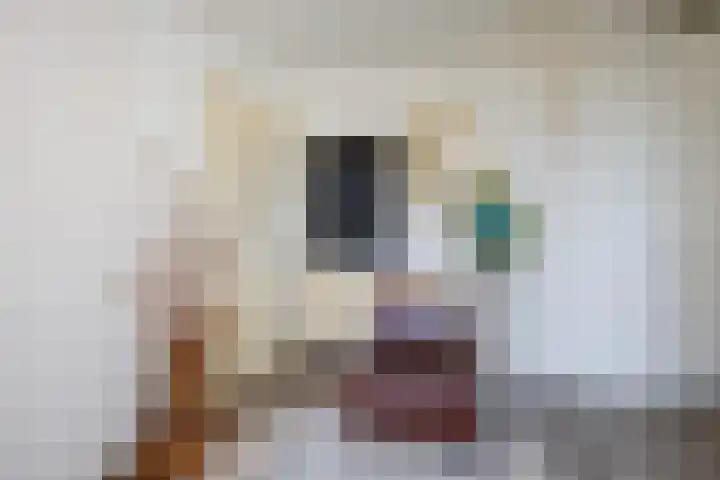 Oirschotseweg 7 Best thumbnail 24