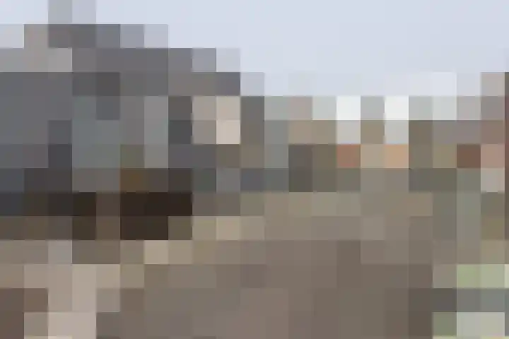 Oirschotseweg 7 Best thumbnail 5