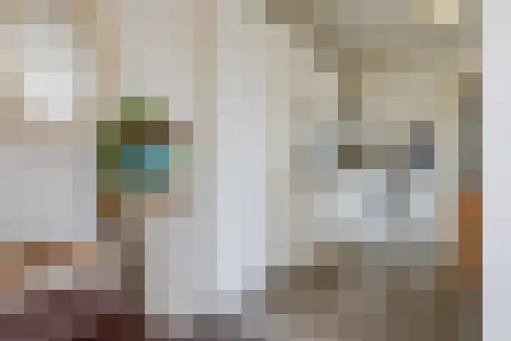 Oirschotseweg 7 Best thumbnail 7