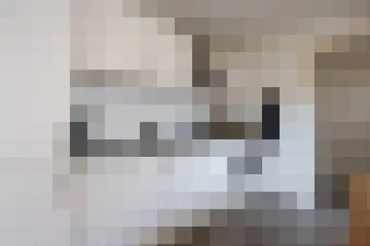 Oirschotseweg 7 Best thumbnail 8