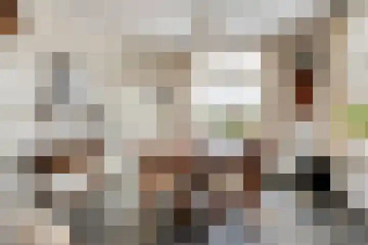 Oirschotseweg 74 Best thumbnail 15