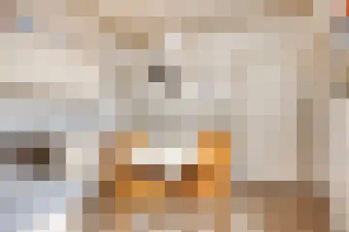 Oirschotseweg 74 Best thumbnail 18