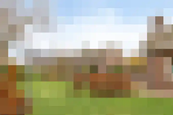 Oirschotseweg 74 Best thumbnail 47