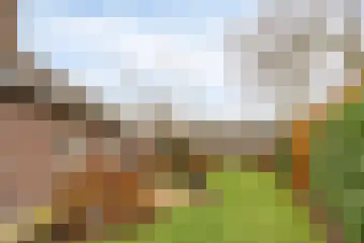 Oirschotseweg 74 Best thumbnail 51