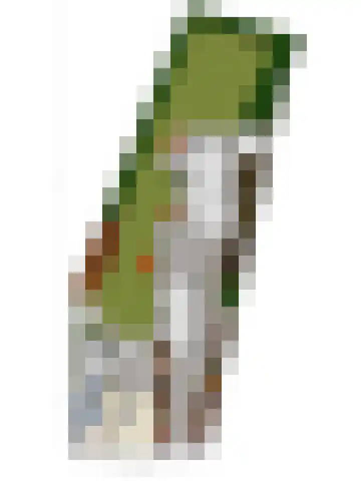 Oirschotseweg 74 Best thumbnail 62