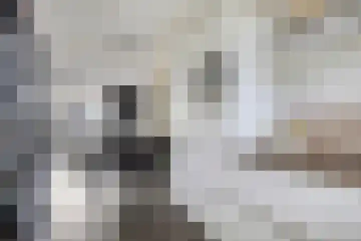 Oirschotseweg 79 Best thumbnail 10