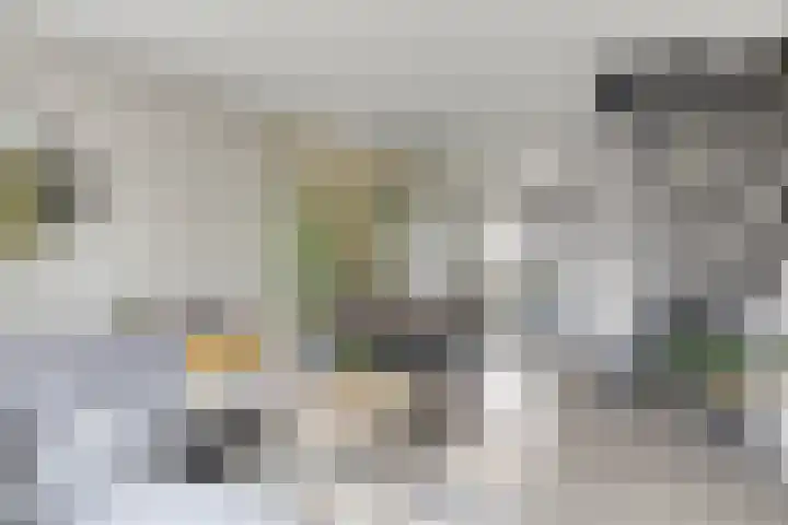 Oirschotseweg 79 Best thumbnail 12