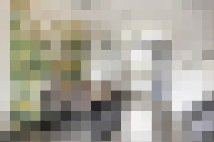 Oirschotseweg 79 Best thumbnail 13