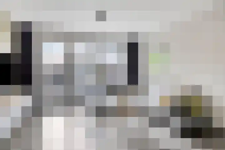 Oirschotseweg 79 Best thumbnail 14
