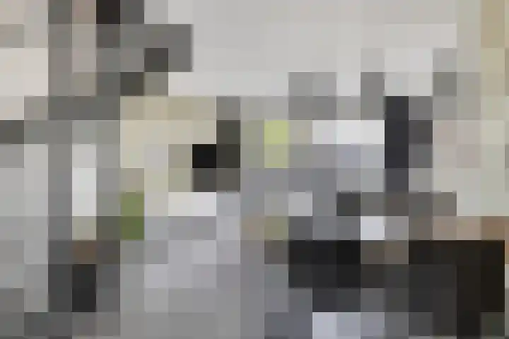 Oirschotseweg 79 Best thumbnail 16