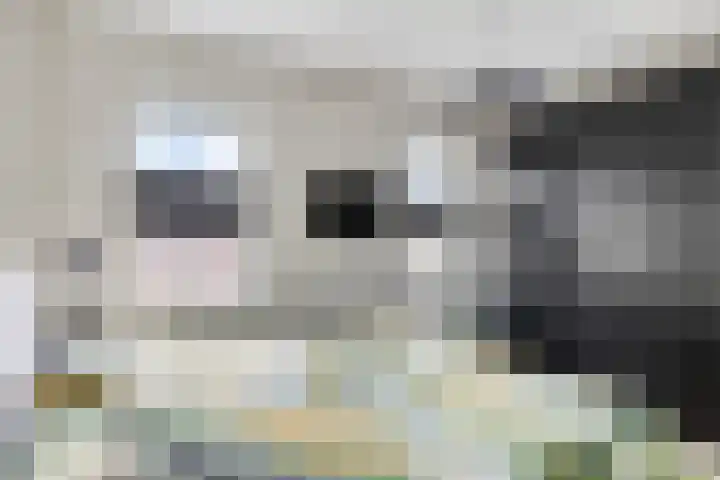 Oirschotseweg 79 Best thumbnail 26