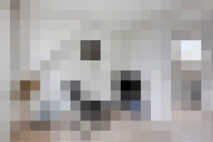 Oirschotseweg 79 Best thumbnail 34