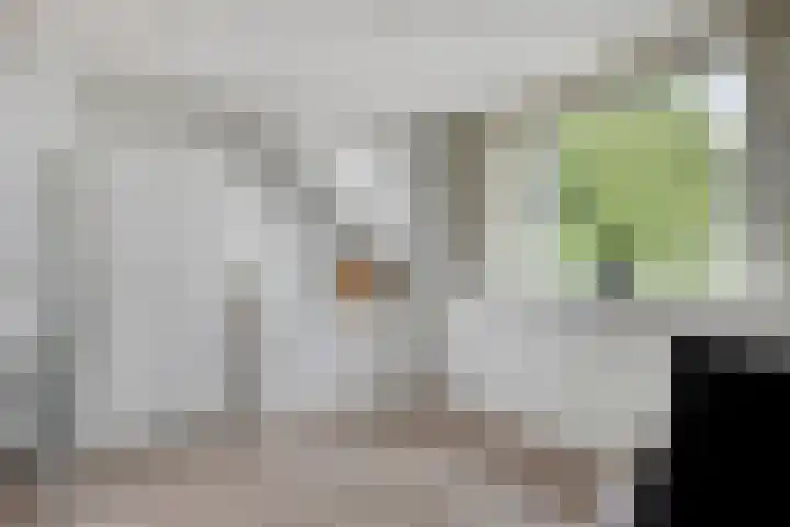 Oirschotseweg 79 Best thumbnail 35