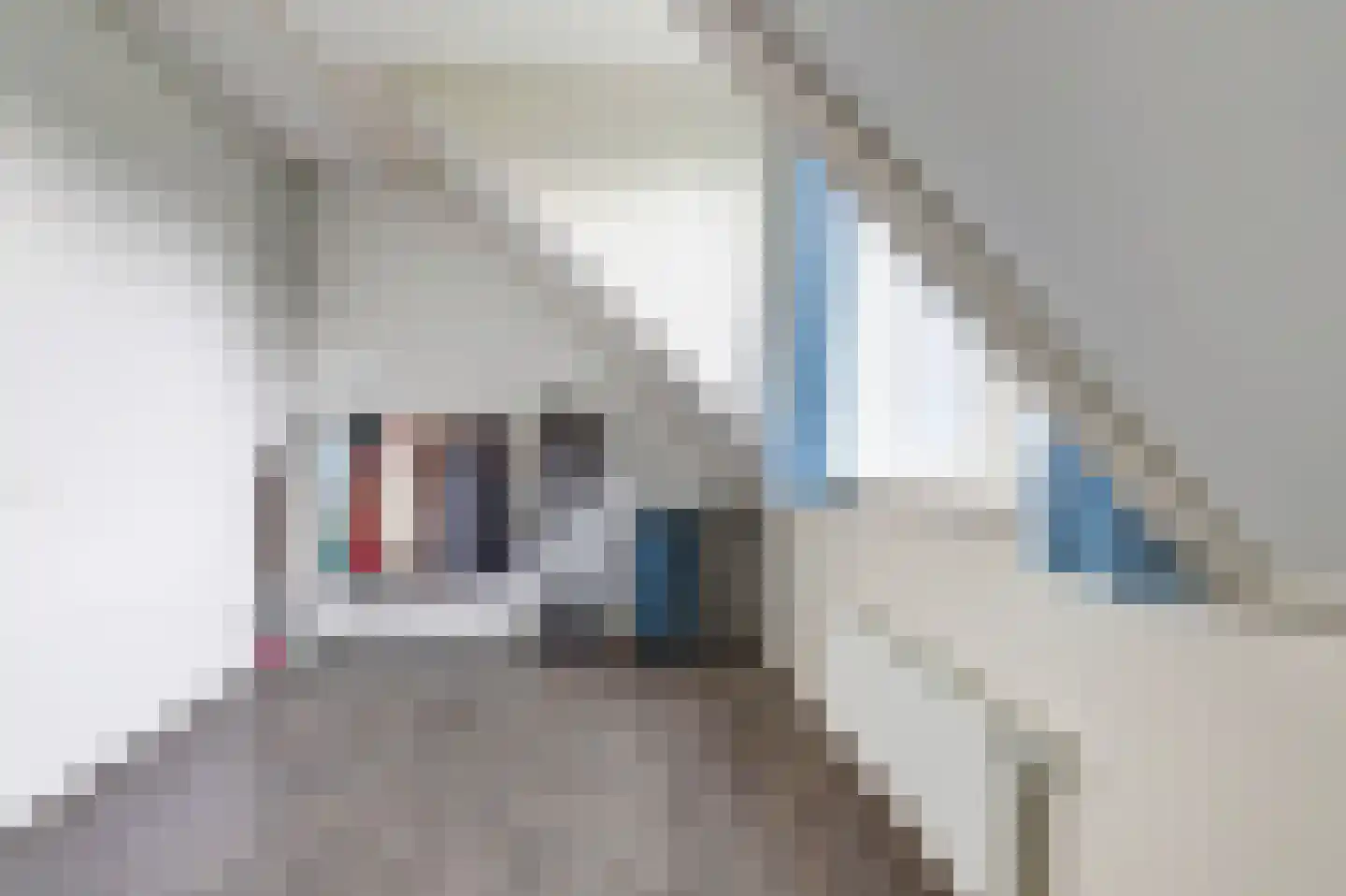 Oirschotseweg 85 Best thumbnail 31