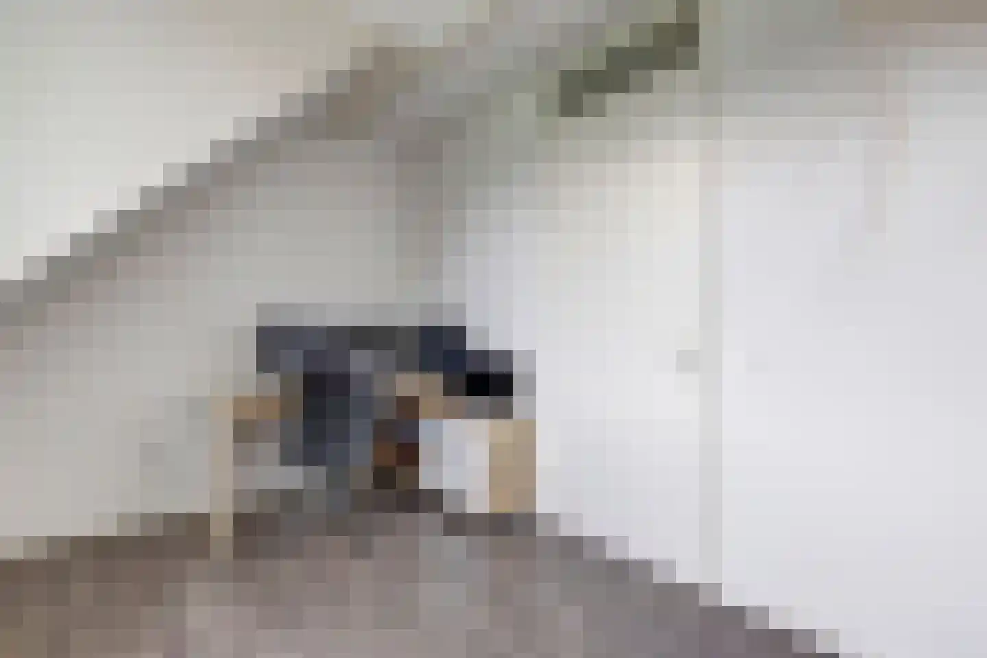 Oirschotseweg 85 Best thumbnail 34