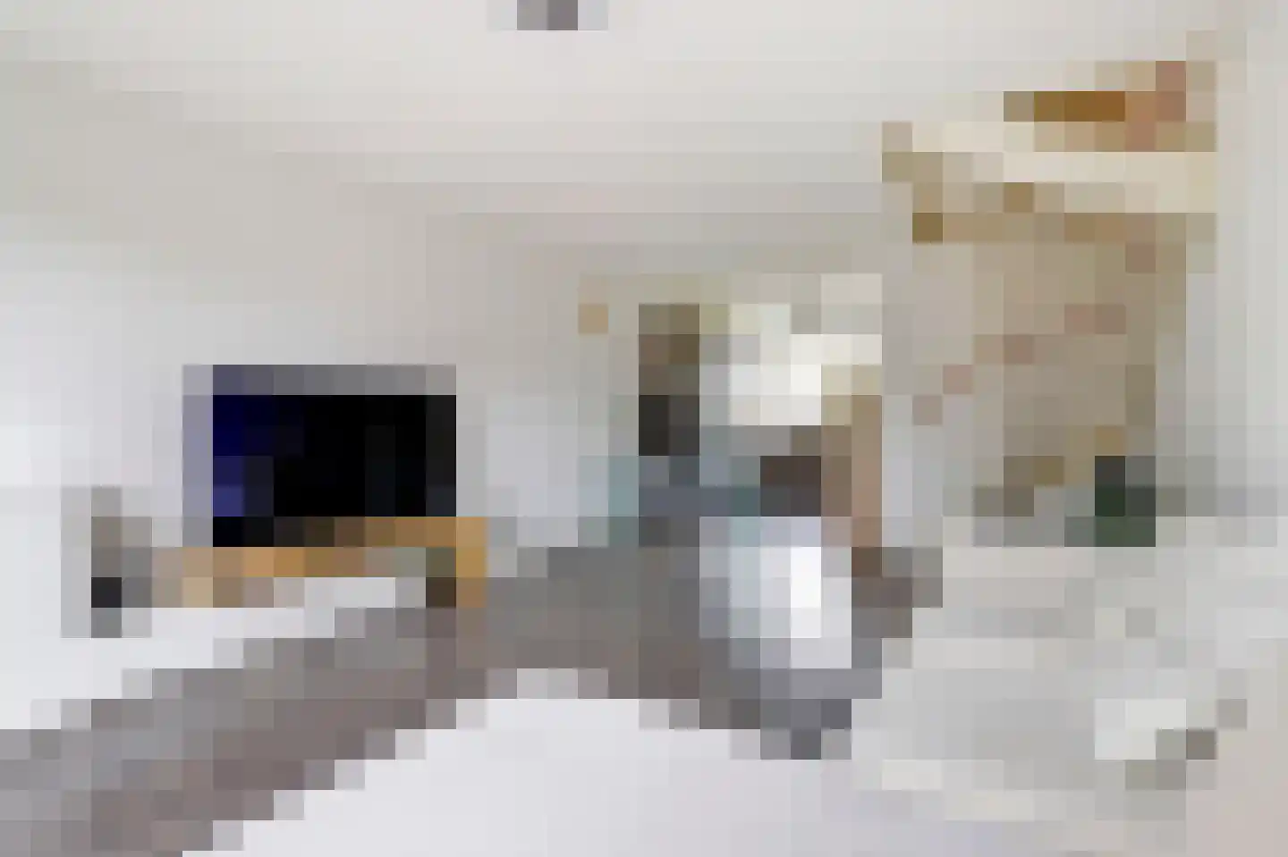 Oirschotseweg 85 Best thumbnail 5