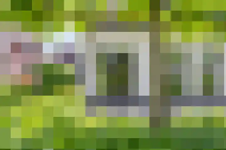 Oisterwijkplantsoen 1 Riel thumbnail 10