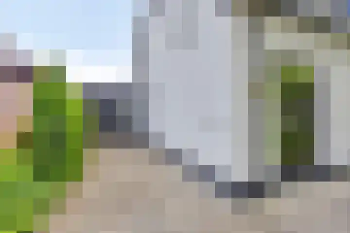 Oisterwijkplantsoen 1 Riel thumbnail 11