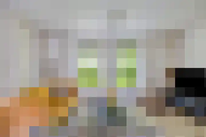 Oisterwijkplantsoen 1 Riel thumbnail 15