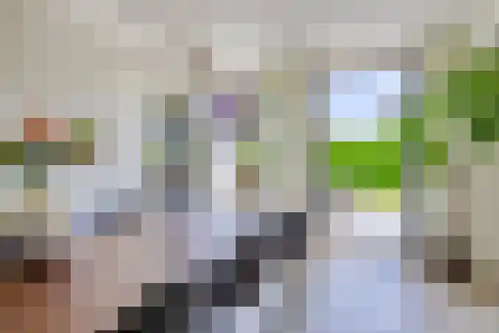 Oisterwijkplantsoen 1 Riel thumbnail 19