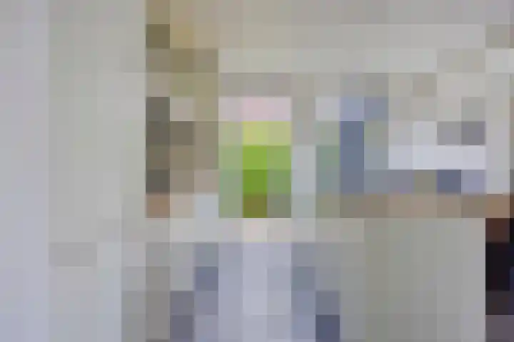 Oisterwijkplantsoen 1 Riel thumbnail 23