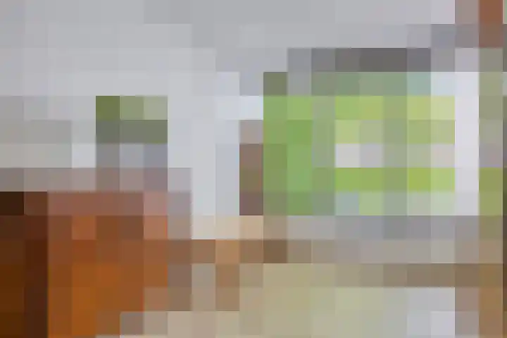 Oisterwijkplantsoen 1 Riel thumbnail 29