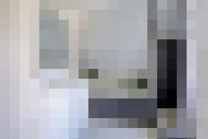 Oisterwijkplantsoen 1 Riel thumbnail 37