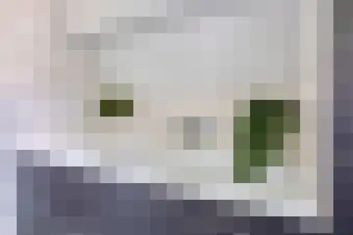 Oisterwijkplantsoen 1 Riel thumbnail 40