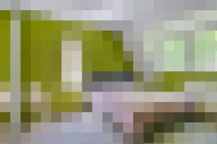 Oisterwijkplantsoen 1 Riel thumbnail 43