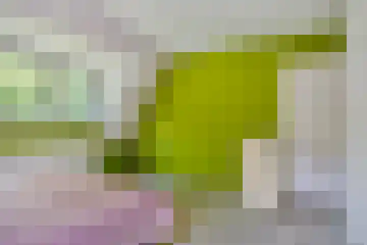 Oisterwijkplantsoen 1 Riel thumbnail 44