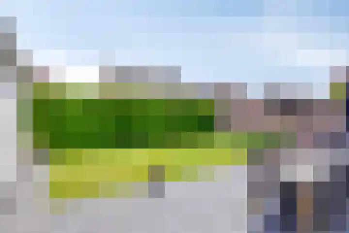 Oisterwijkplantsoen 1 Riel thumbnail 45