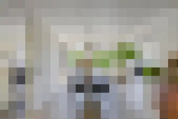 Oisterwijkplantsoen 1 Riel thumbnail 5