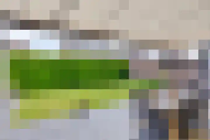 Oisterwijkplantsoen 1 Riel thumbnail 51