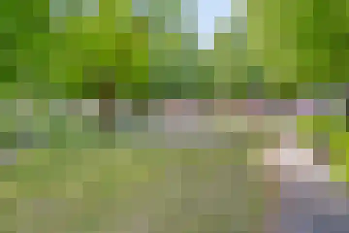 Oisterwijkplantsoen 1 Riel thumbnail 53