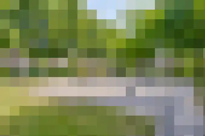 Oisterwijkplantsoen 1 Riel thumbnail 54
