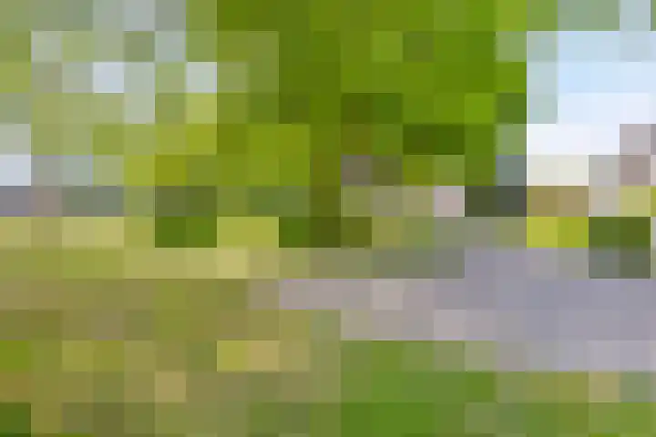 Oisterwijkplantsoen 1 Riel thumbnail 55