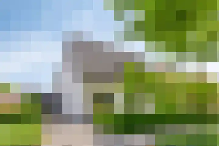 Oisterwijkplantsoen 1 Riel thumbnail 67
