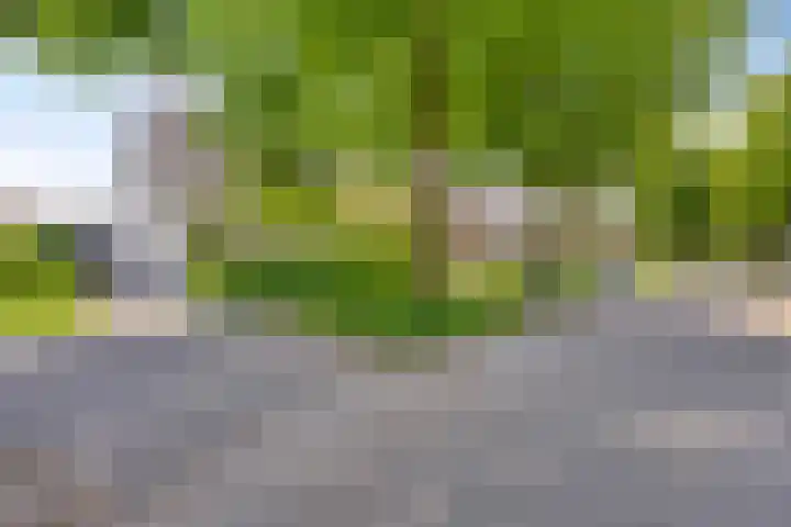 Oisterwijkplantsoen 1 Riel thumbnail 7