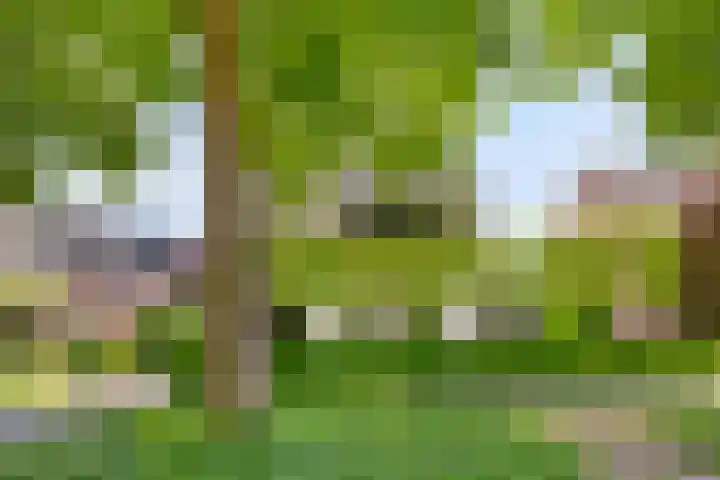 Oisterwijkplantsoen 1 Riel thumbnail 8