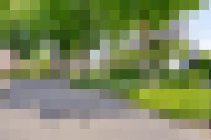 Oisterwijkplantsoen 1 Riel thumbnail 9