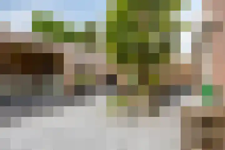 Oisterwijkplantsoen 12 Riel thumbnail 45