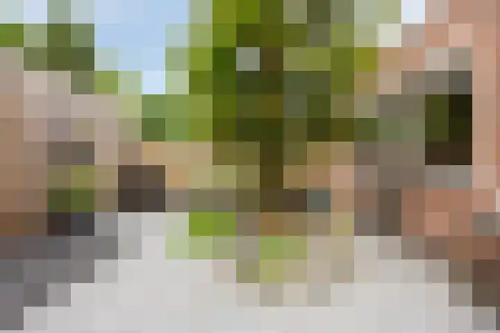 Oisterwijkplantsoen 12 Riel thumbnail 46