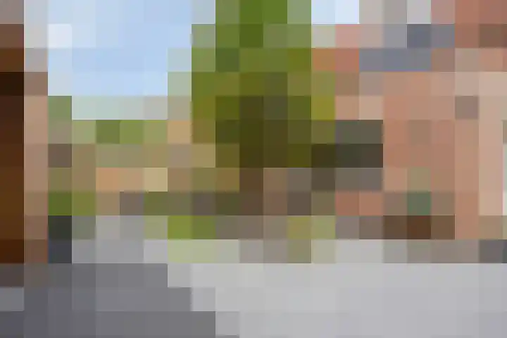 Oisterwijkplantsoen 12 Riel thumbnail 47