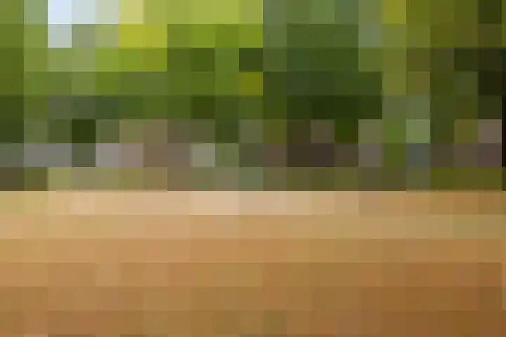 Oisterwijkplantsoen 12 Riel thumbnail 53