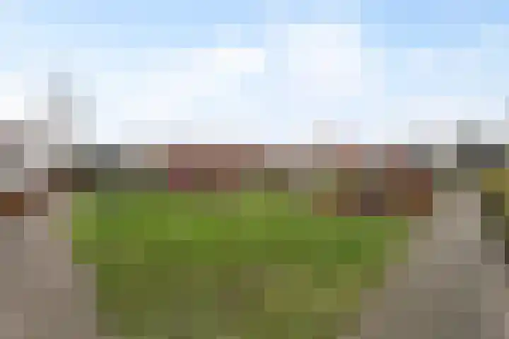 Oisterwijkplantsoen 12 Riel thumbnail 54