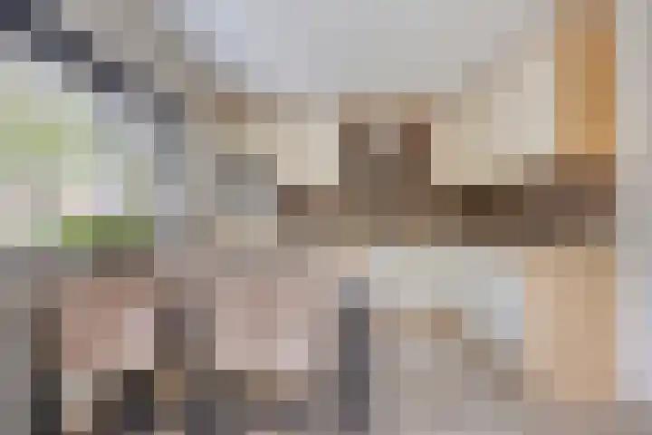 Oisterwijkplantsoen 12 Riel thumbnail 6