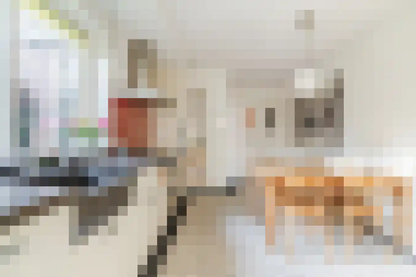 Oisterwijksebaan 174 Tilburg thumbnail 16