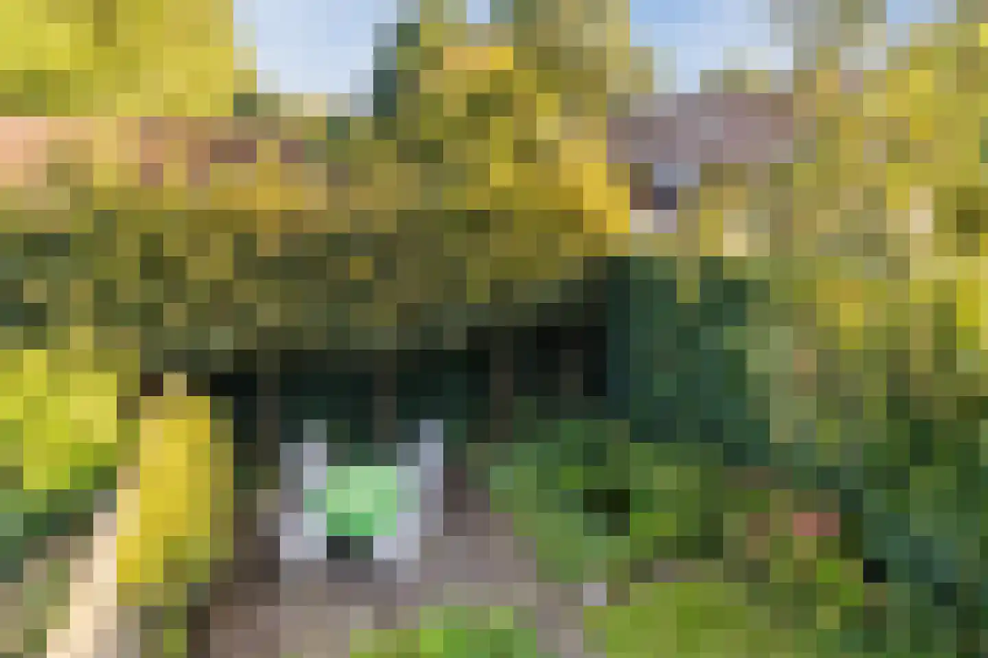 Oisterwijksebaan 174 Tilburg thumbnail 40