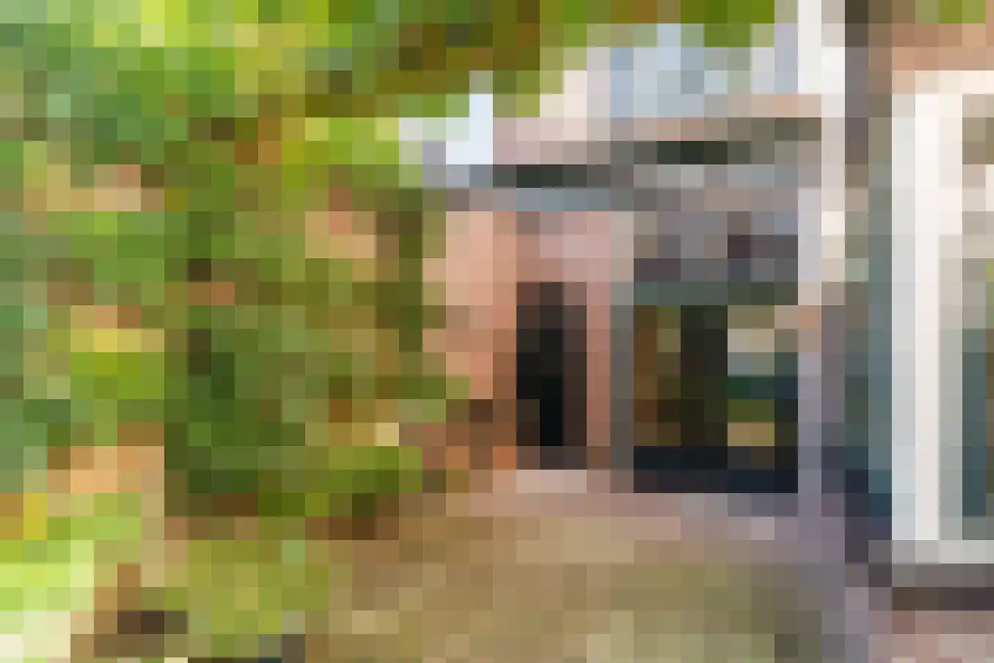 Oisterwijksebaan 174 Tilburg thumbnail 42