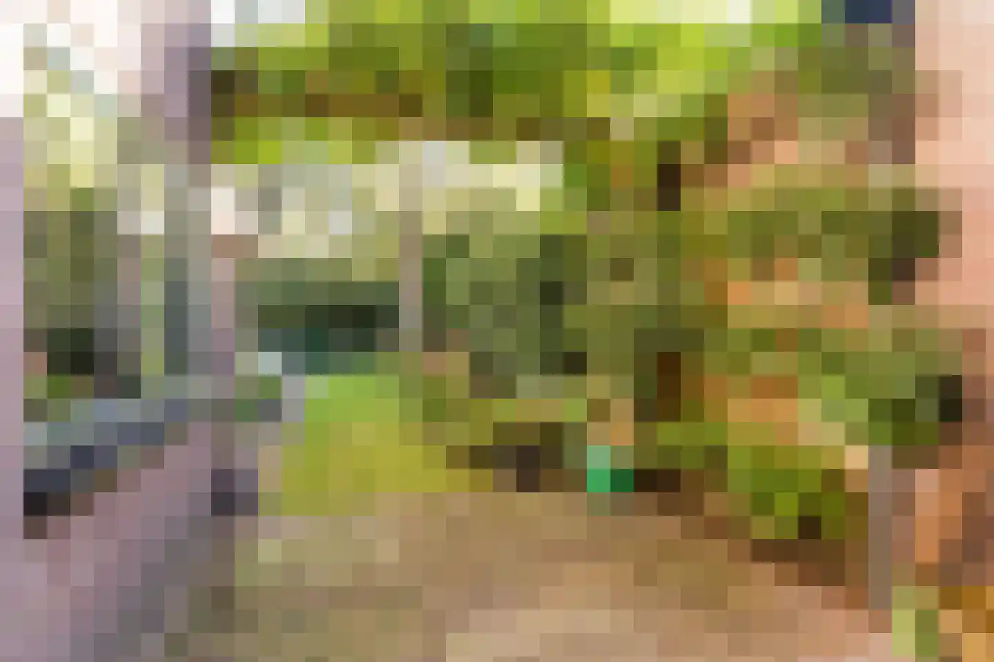 Oisterwijksebaan 174 Tilburg thumbnail 43